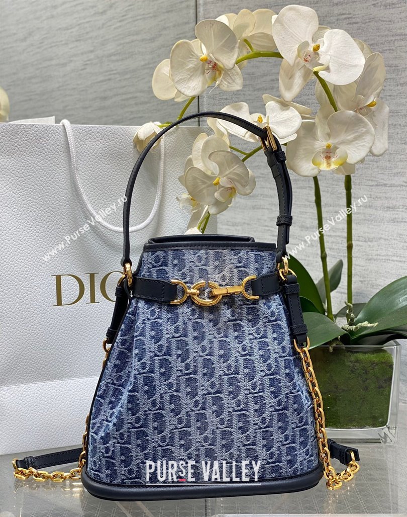 Dior Medium Cest Dior Bag in Blue DenimOblique Jacquard 2024 (XXG-240715092)