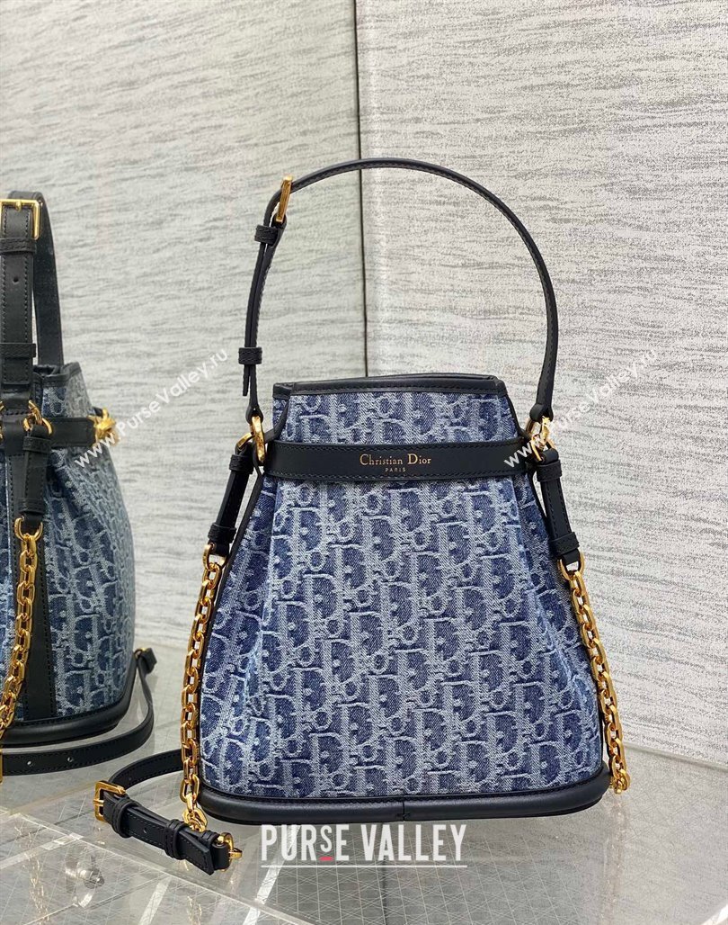 Dior Medium Cest Dior Bag in Blue DenimOblique Jacquard 2024 (XXG-240715092)