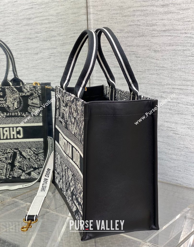 Dior Medium Book Tote bag in Black and White Plan de Paris Embroidery 2024 0715 (XXG-240715098)