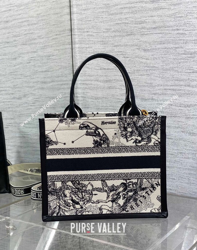 Dior Small Book Tote bag in Zodiac Embroidery and Calfskin White/Blue 2024 0715 (XXG-240715101)