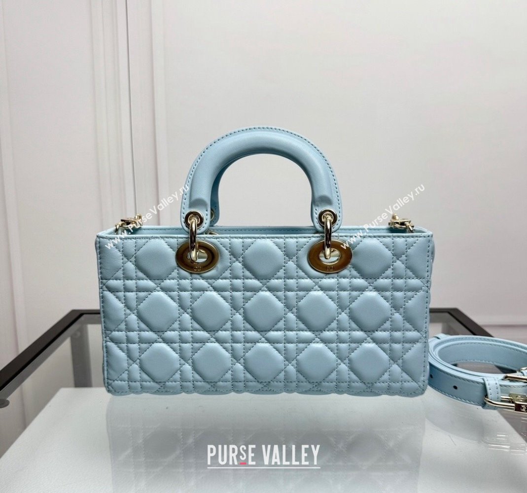 Dior Lady D-Joy Medium Bag in Pale Blue Cannage Lambskin 2024 0806 (XXG-240806007)