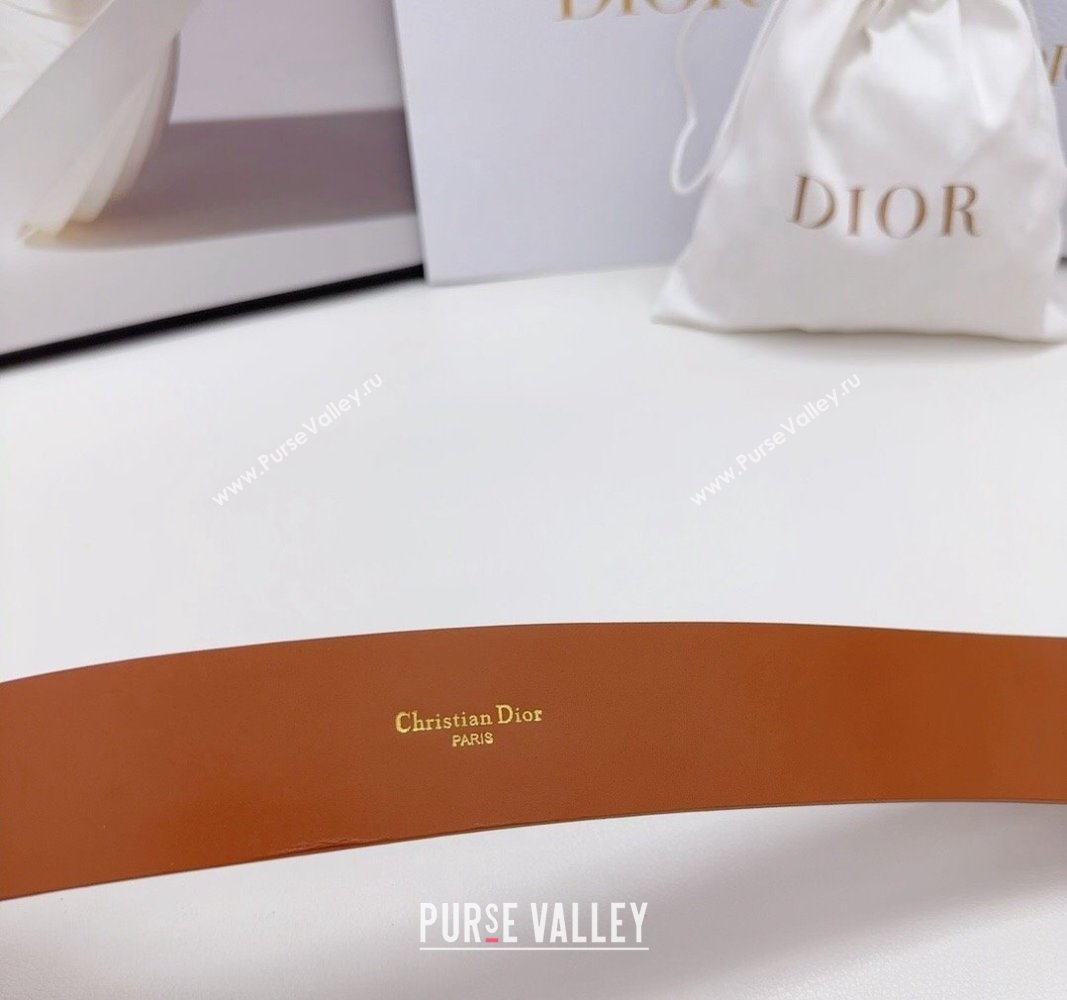 Dior Nolita Waist Belt in Brown Smooth Calfskin, 8cm 2024 (BF-240923103)