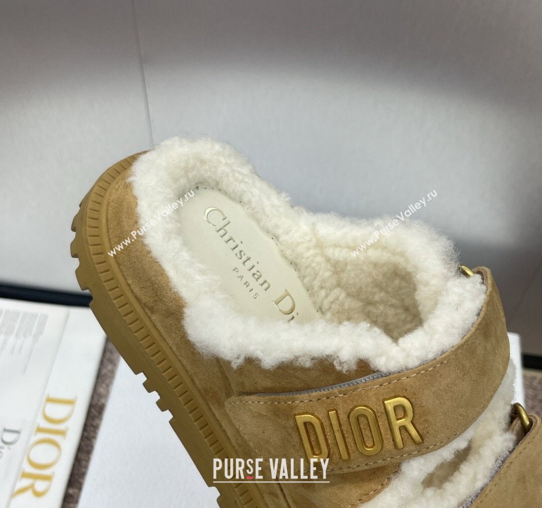 Dior Dioract Strap Flat Slides Sandal in Suede and Shearling Light Brown 2024 0930 (JC-240930020)