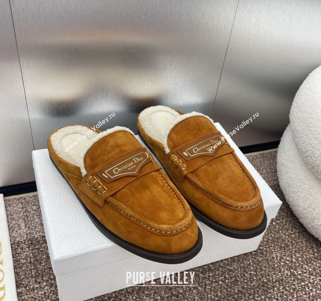 Dior Boy Flat Mules in Suede and Shearling Wool Brown 2024 (JC-240930012)