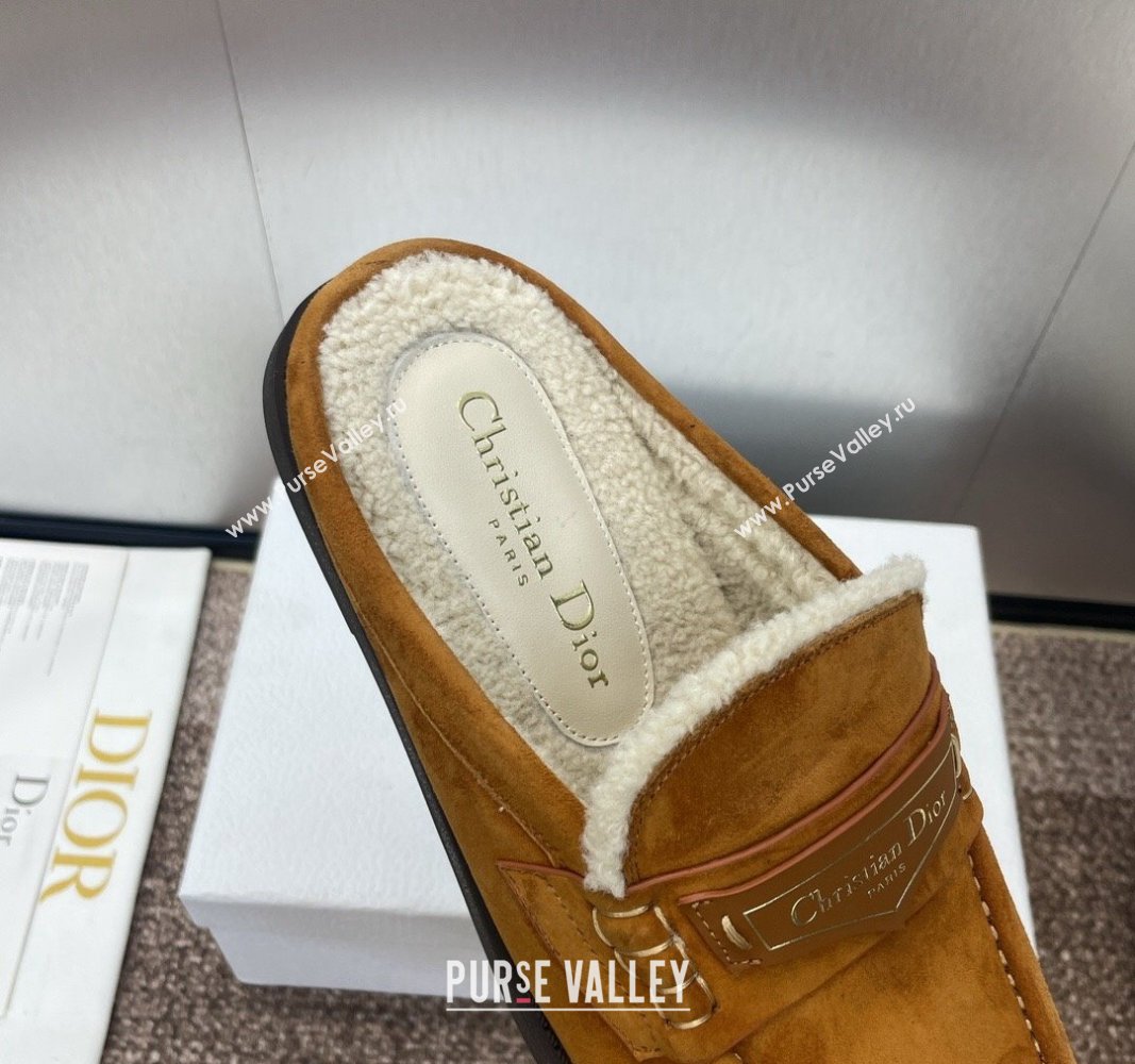 Dior Boy Flat Mules in Suede and Shearling Wool Brown 2024 (JC-240930012)