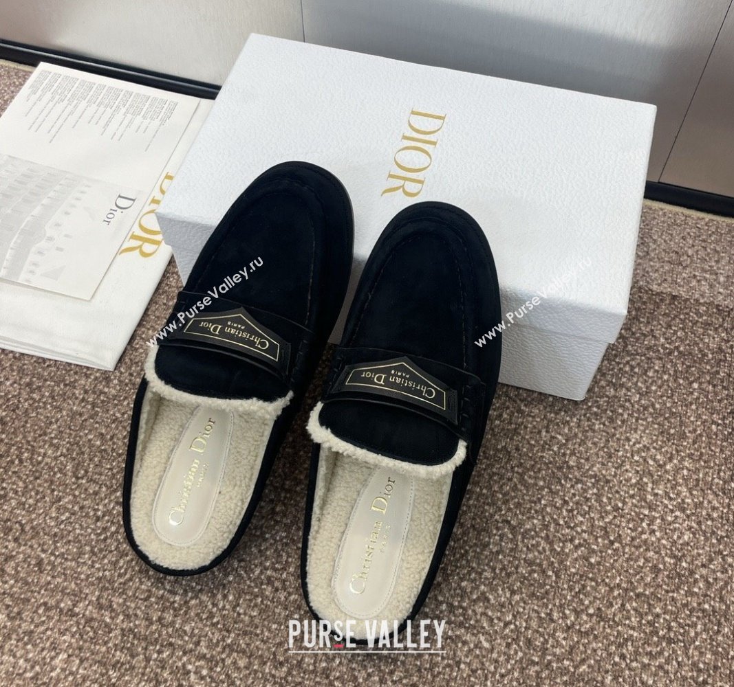 Dior Boy Flat Mules in Suede and Shearling Wool Black 2024 (JC-240930013)