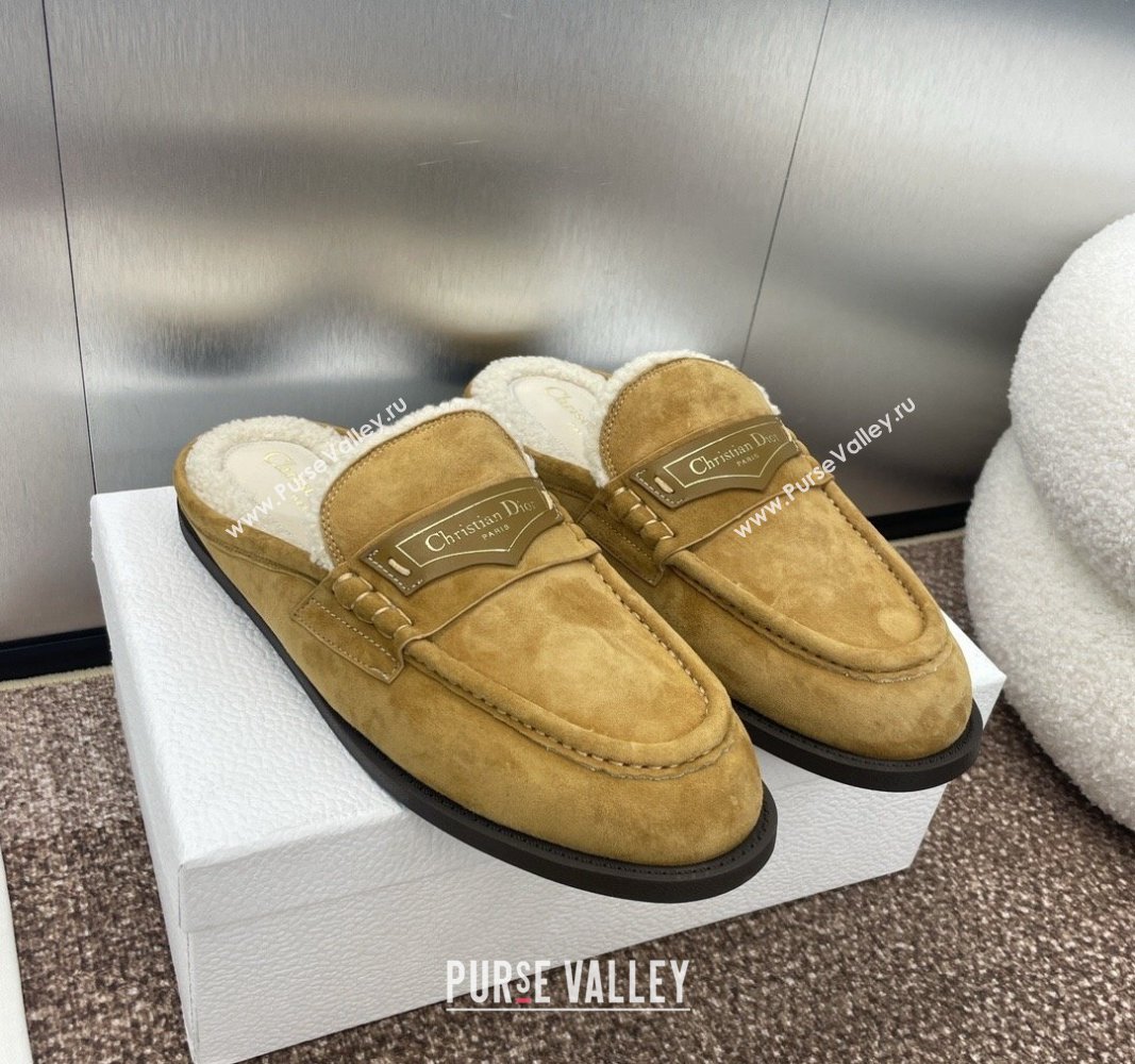 Dior Boy Flat Mules in Suede and Shearling Wool Khaki 2024 (JC-240930014)