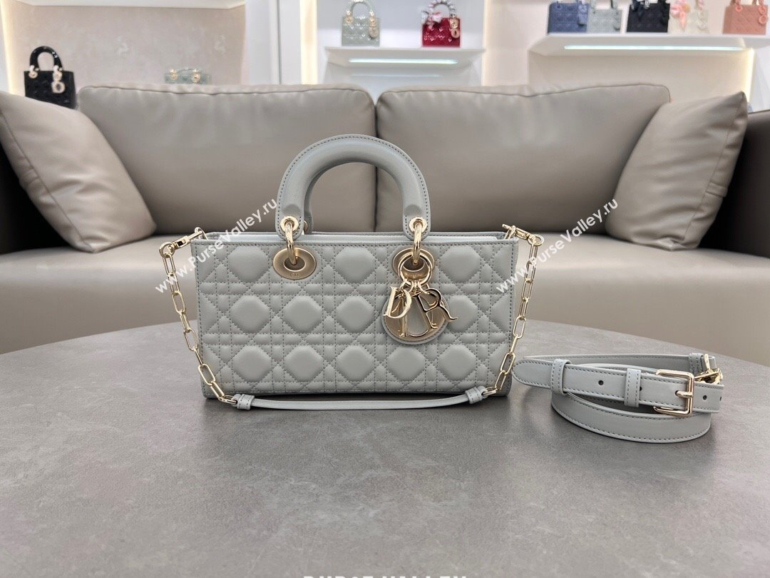 Dior Lady D-Joy Medium Bag in Cannage Lambskin Cloud Grey 2024 M0540 (XXG-241031107)