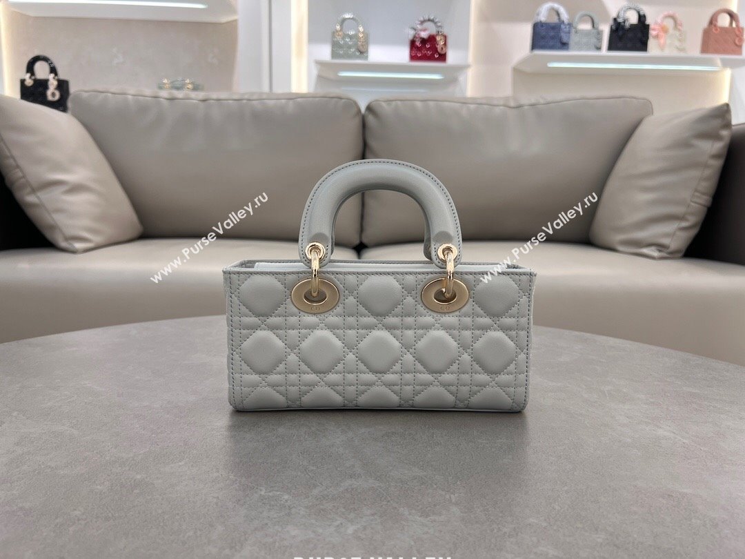 Dior Lady D-Joy Small Bag in Cannage Lambskin Cloud Grey 2024 M0613 (XXG-241031108)