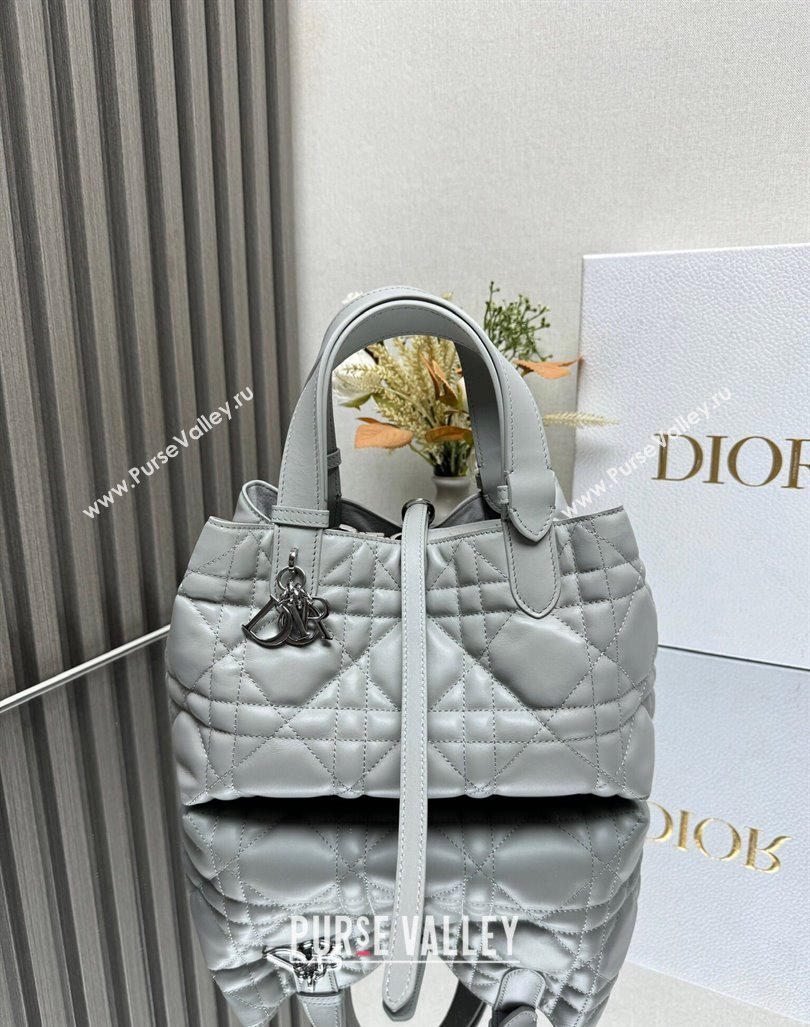 Dior Small Toujours Tote bag in Macrocannage Calfskin Cloud Grey 2024 (XXG-241101108)