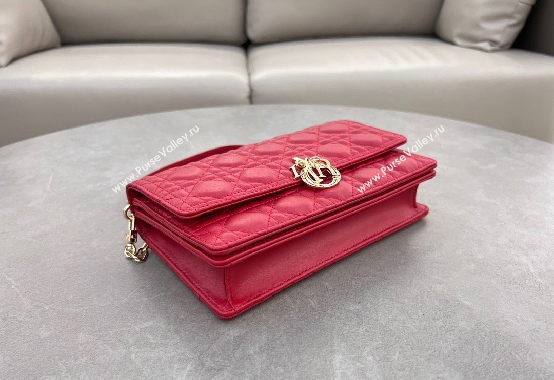 Dior My Dior Top Handle Bag in Cannage Lambskin Red 2024 0997 (BF-241031079)