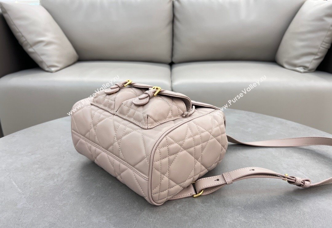 Dior Medium Dior Caro Backpack Bag in Macrocannage Lambskin Nude Pink 2024 (XXG-241101015)