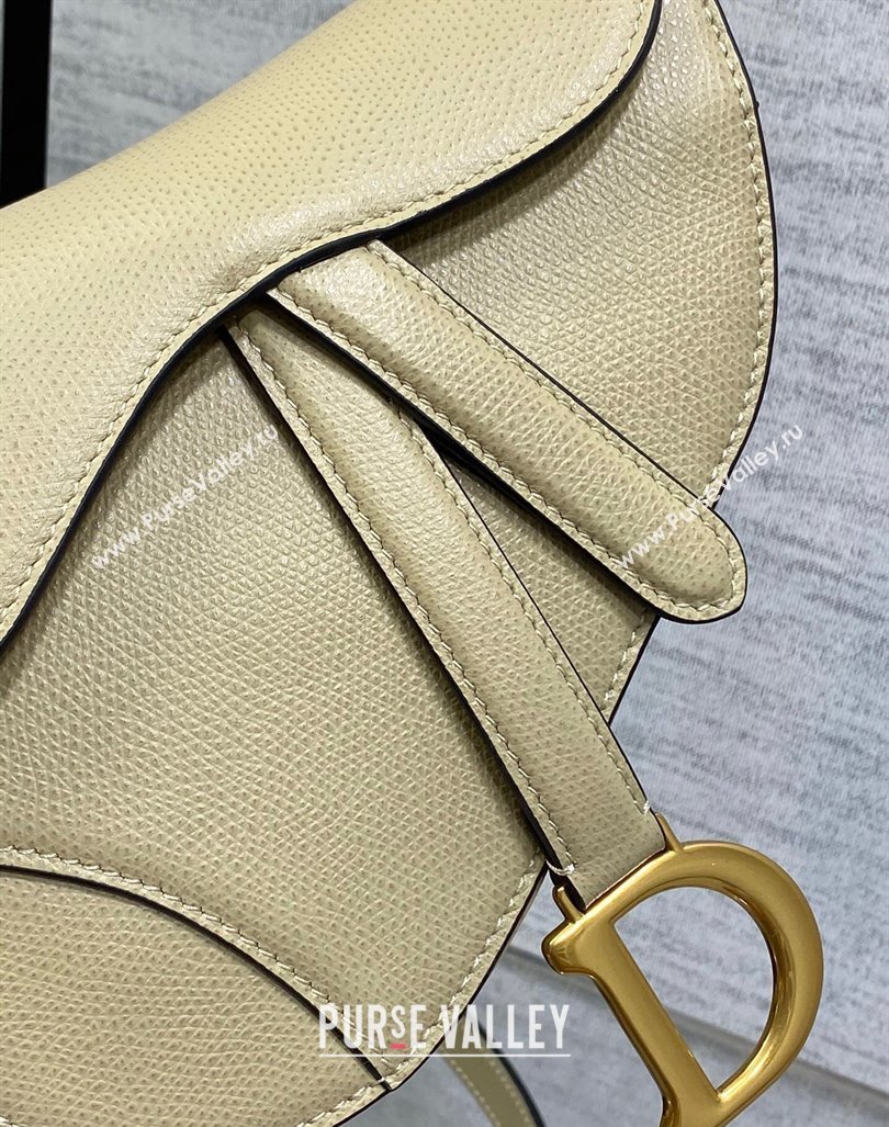 Dior Mini Saddle Bag with Strap in Grained Calfskin Apricot 2024 (XXG-241101068)