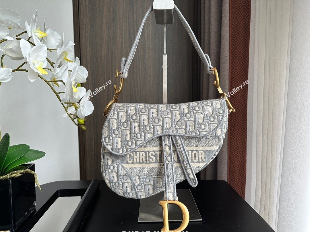 Dior Medium Saddle Bag in Grey Dior Oblique Embroidery 2024 (XXG-241101074)