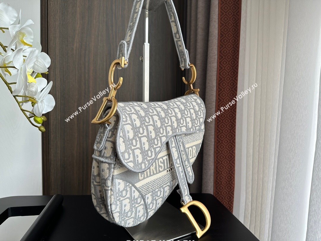 Dior Medium Saddle Bag in Grey Dior Oblique Embroidery 2024 (XXG-241101074)