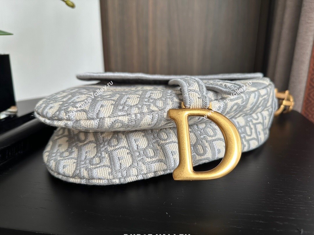 Dior Medium Saddle Bag in Grey Dior Oblique Embroidery 2024 (XXG-241101074)