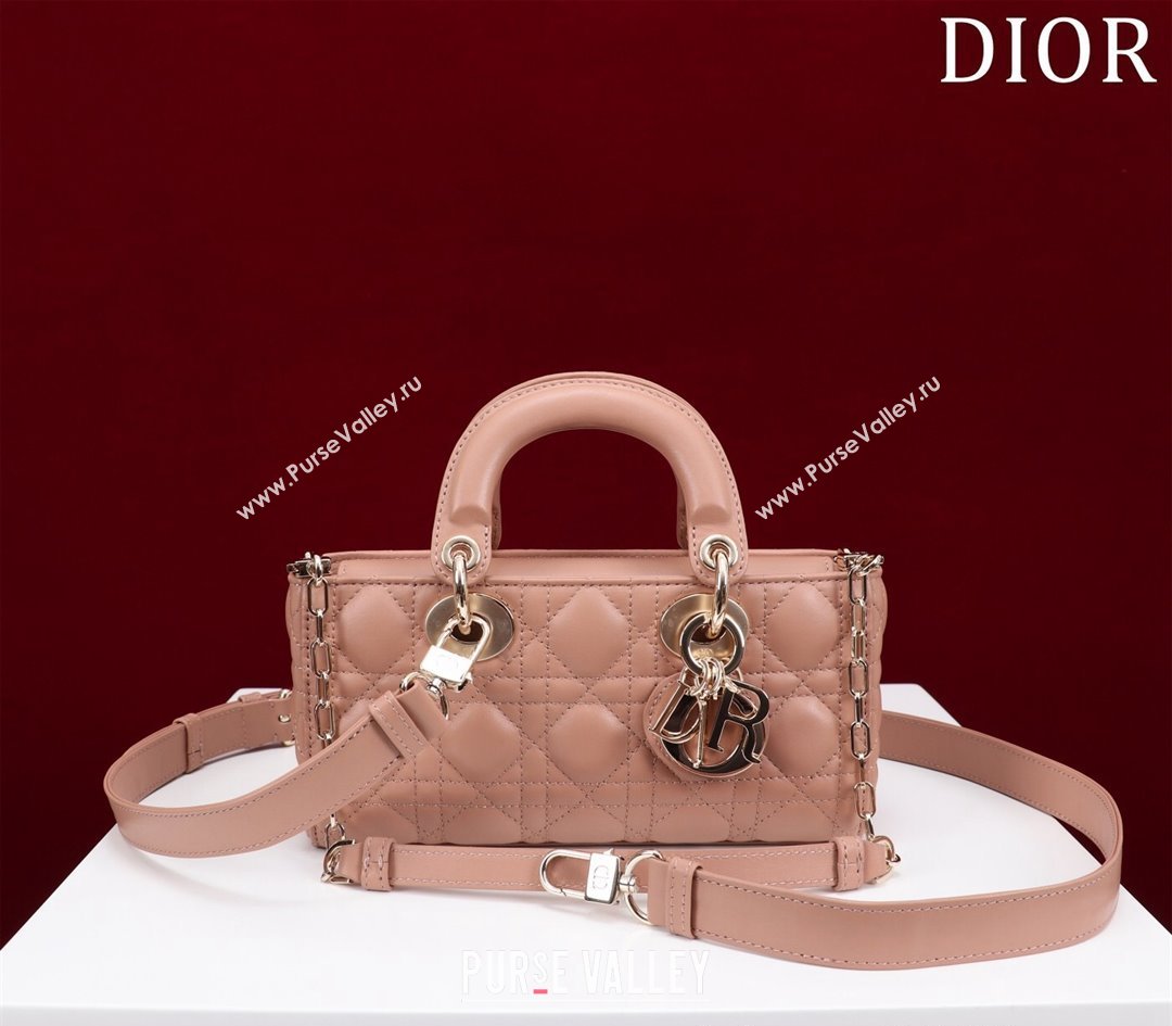 Dior Small Lady D-Joy Bag in Cannage Lambskin Light Pink 2024 M0541 1212 (XXG-241212046)