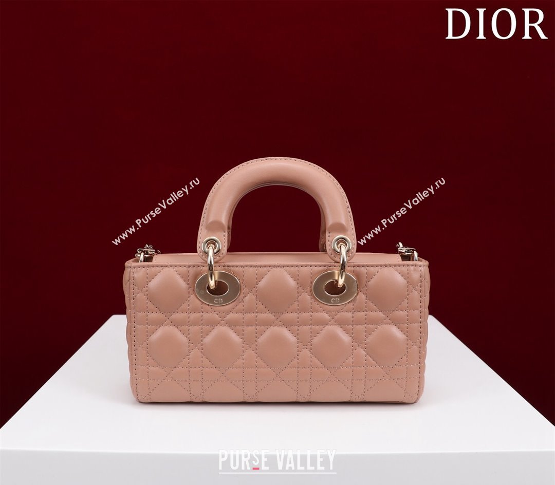 Dior Small Lady D-Joy Bag in Cannage Lambskin Light Pink 2024 M0541 1212 (XXG-241212046)