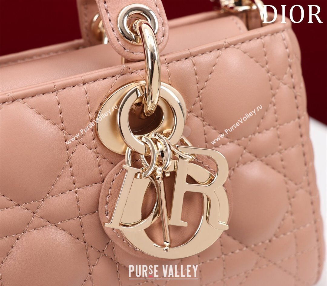 Dior Small Lady D-Joy Bag in Cannage Lambskin Light Pink 2024 M0541 1212 (XXG-241212046)