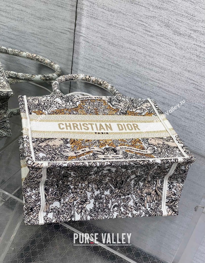 Dior Small Dior Book Tote bag in Latte White Embroidery with Gold-Tone Dior Around the World Motif 2024 (XXG-241212050)