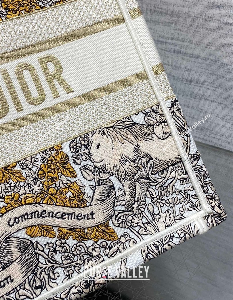 Dior Medium Dior Book Tote bag in Latte Embroidery with Gold-Tone Dior Around the World Motif 2024 (XXG-241212053)