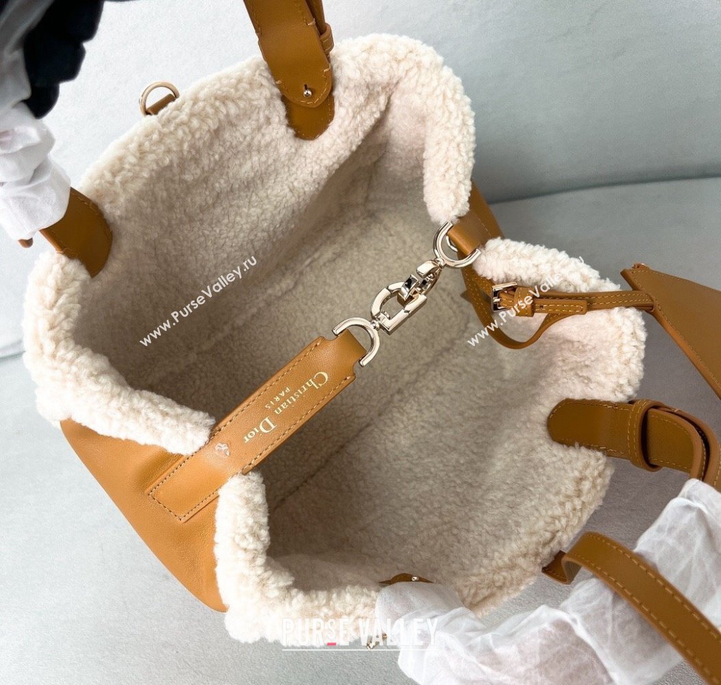 Dior Medium Toujours Tote Bag in Beige Suede and White Shearling 2024 1212 (BF-241212067)