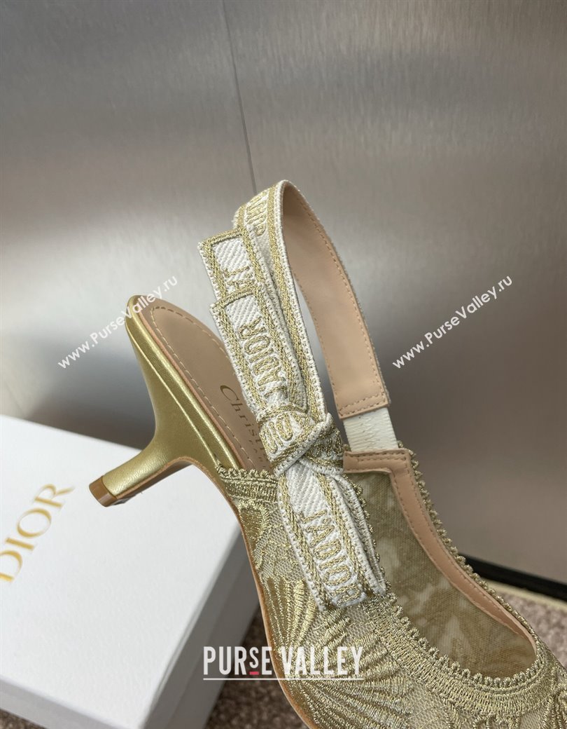 Dior JAdior Slingback Pumps 6.5cm in Transparent Mesh with Gold-Tone Chardons Embroidery 2024 (JC-241231038)