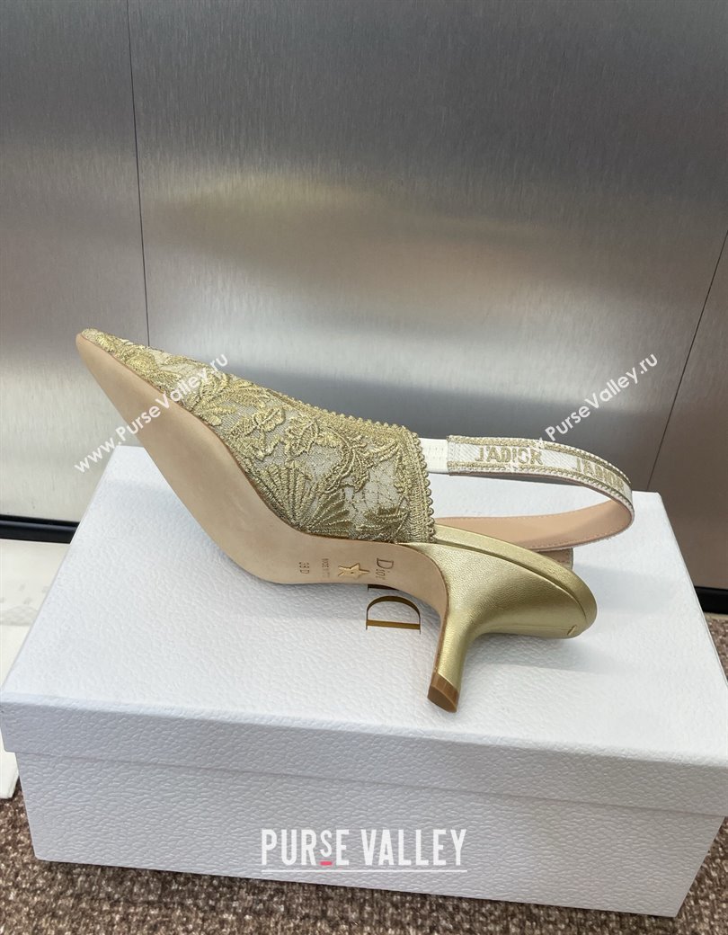 Dior JAdior Slingback Pumps 6.5cm in Transparent Mesh with Gold-Tone Chardons Embroidery 2024 (JC-241231038)