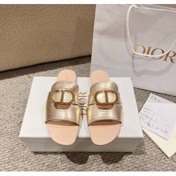 Dior 30 Montaigne Flat Slides Sandal in Calfskin Gold/Nude 2024 1231 (MD-241231104)