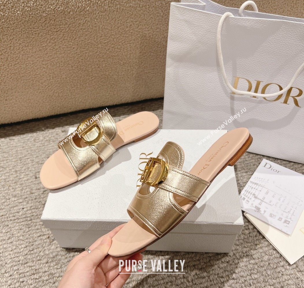 Dior 30 Montaigne Flat Slides Sandal in Calfskin Gold/Nude 2024 1231 (MD-241231104)