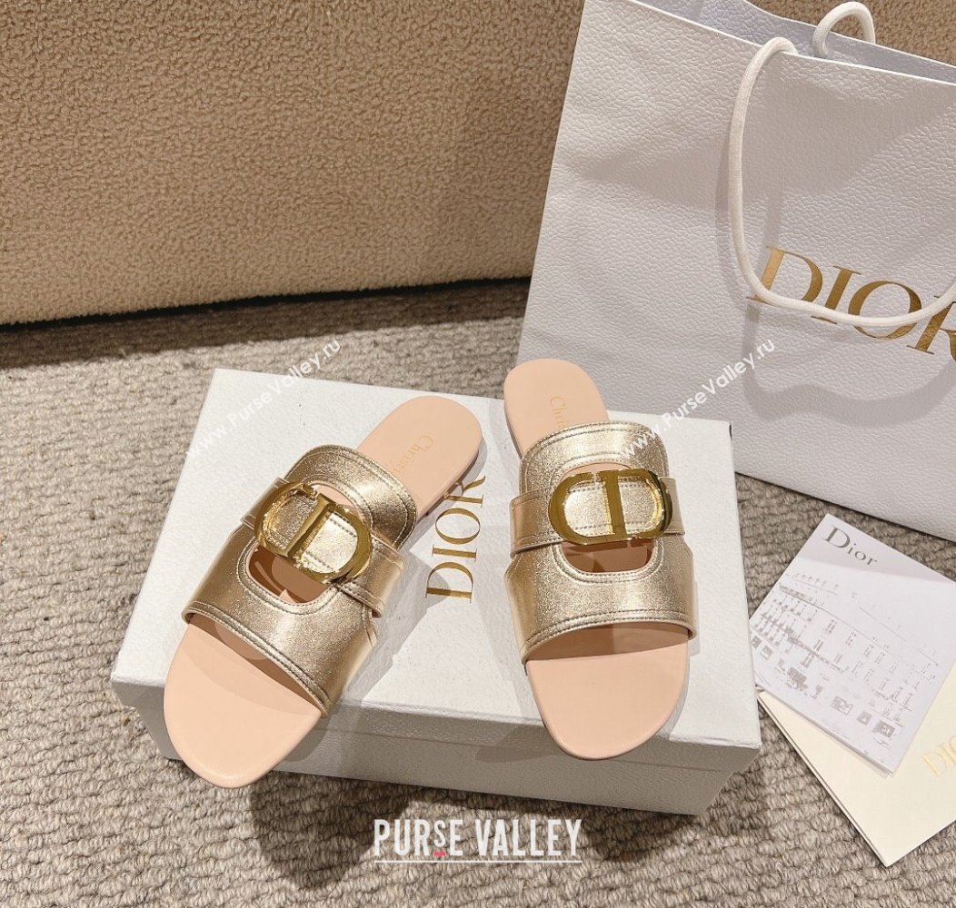 Dior 30 Montaigne Flat Slides Sandal in Calfskin Gold/Nude 2024 1231 (MD-241231104)