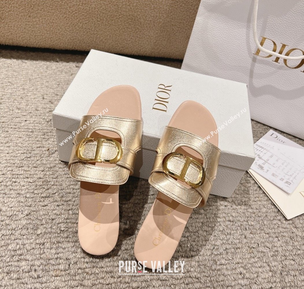 Dior 30 Montaigne Flat Slides Sandal in Calfskin Gold/Nude 2024 1231 (MD-241231104)