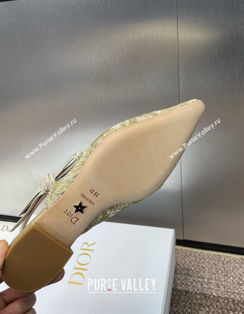 Dior JAdior Slingback Ballet Flat in Transparent Mesh with Gold-Tone Chardons Embroidery 2024 (JC-241231039)