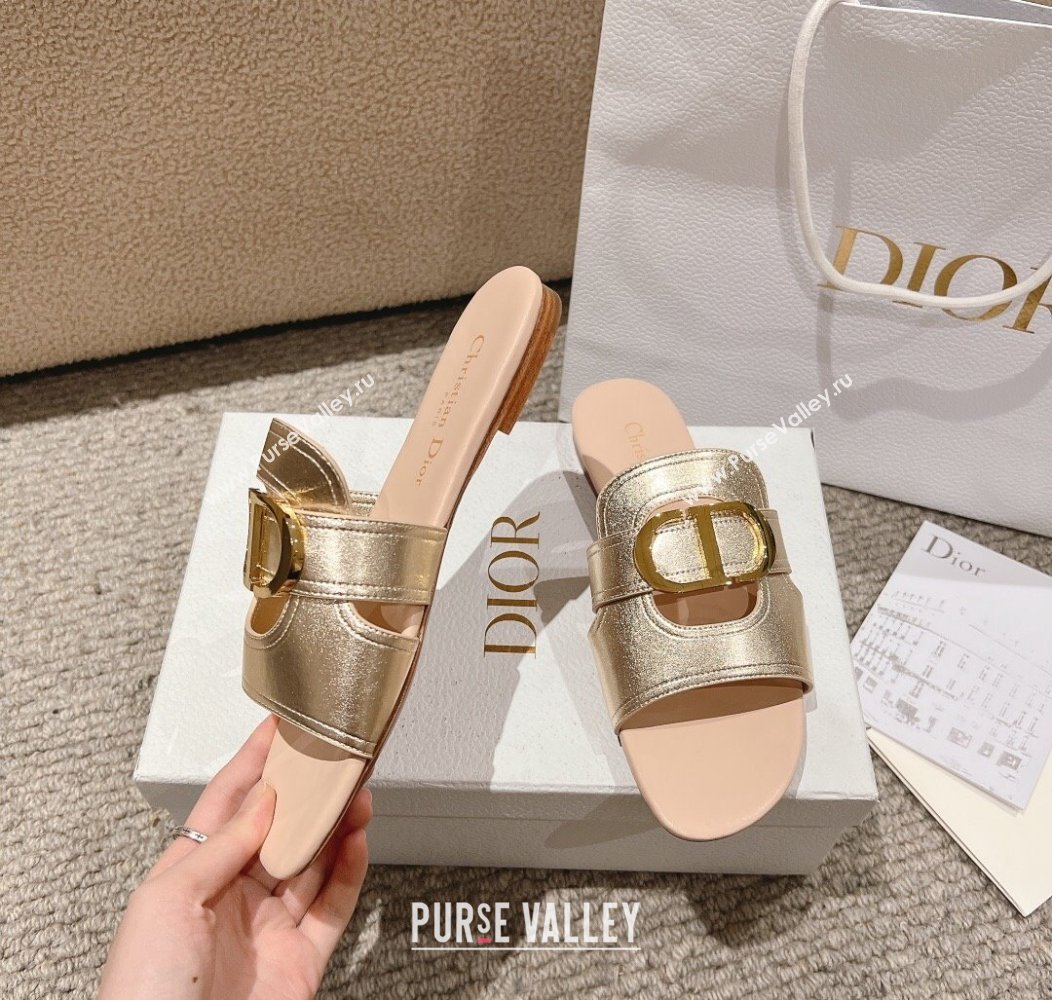 Dior 30 Montaigne Flat Slides Sandal in Calfskin Gold/Nude 2024 1231 (MD-241231104)