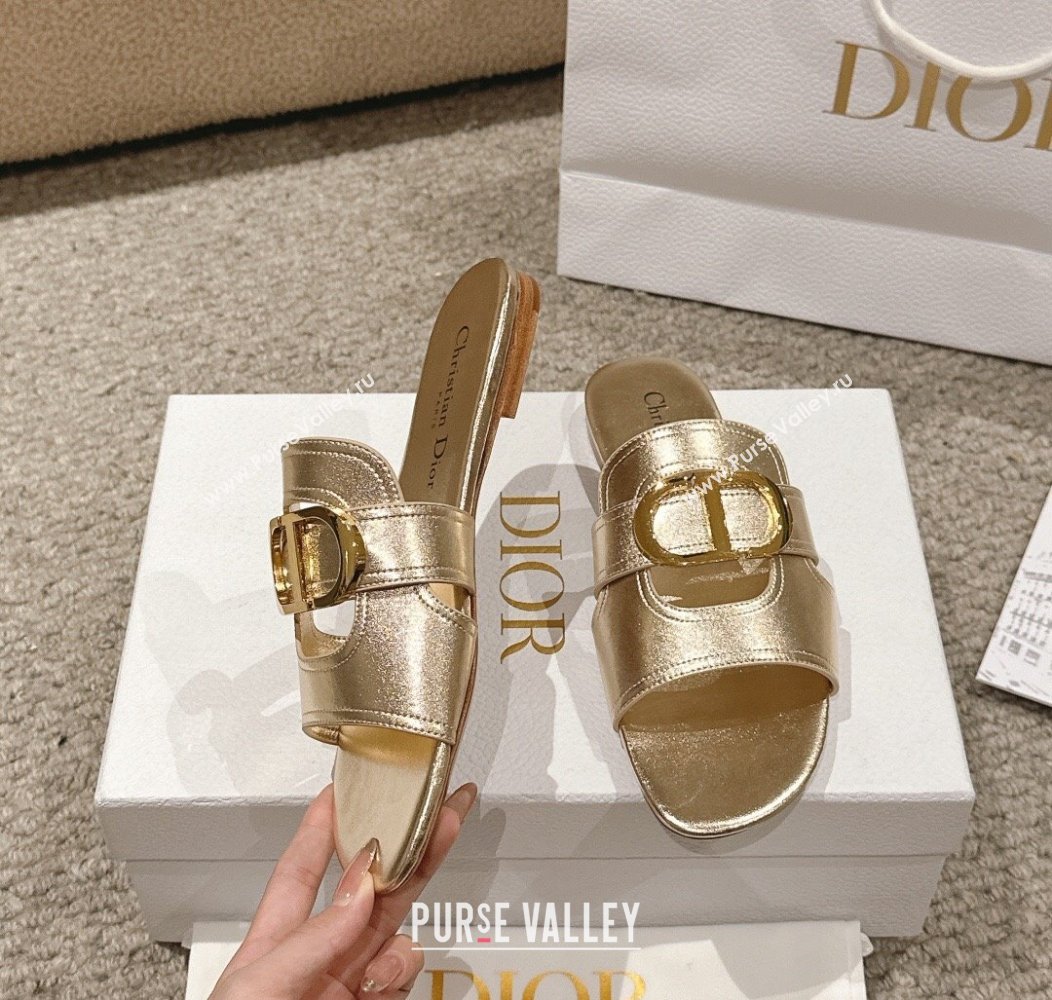 Dior 30 Montaigne Flat Slides Sandal in Gold-Tone Metallic Calfskin 2024 1231 (MD-241231105)