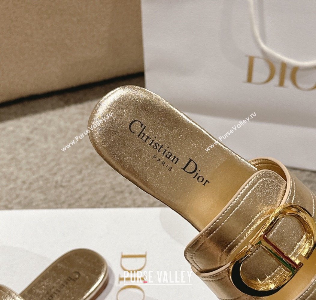 Dior 30 Montaigne Flat Slides Sandal in Gold-Tone Metallic Calfskin 2024 1231 (MD-241231105)