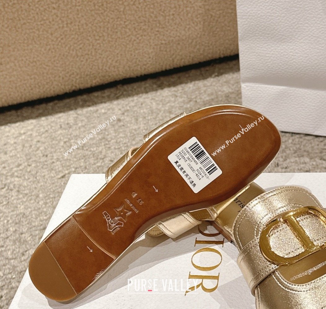 Dior 30 Montaigne Flat Slides Sandal in Gold-Tone Metallic Calfskin 2024 1231 (MD-241231105)