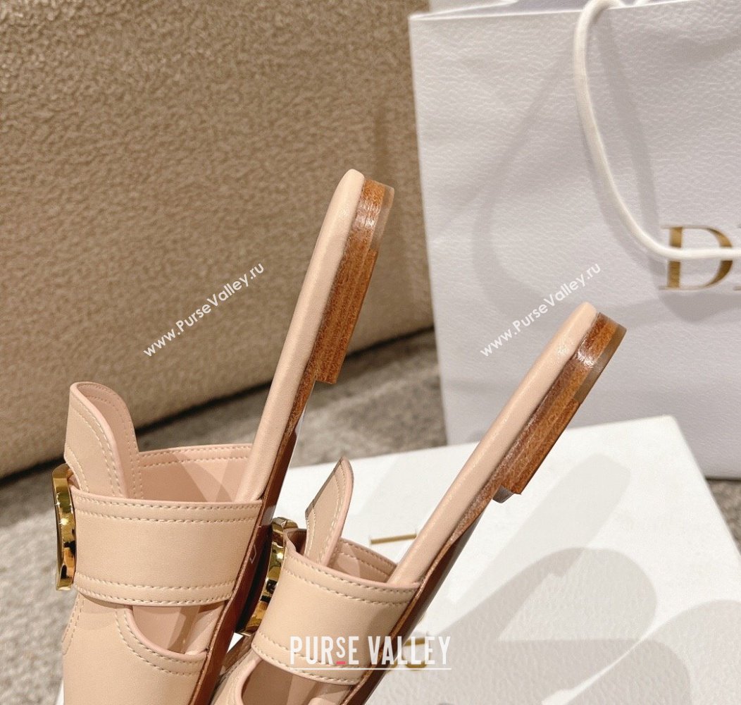 Dior 30 Montaigne Flat Slides Sandal in Calfskin Nude Pink 2024 1231 (MD-241231107)