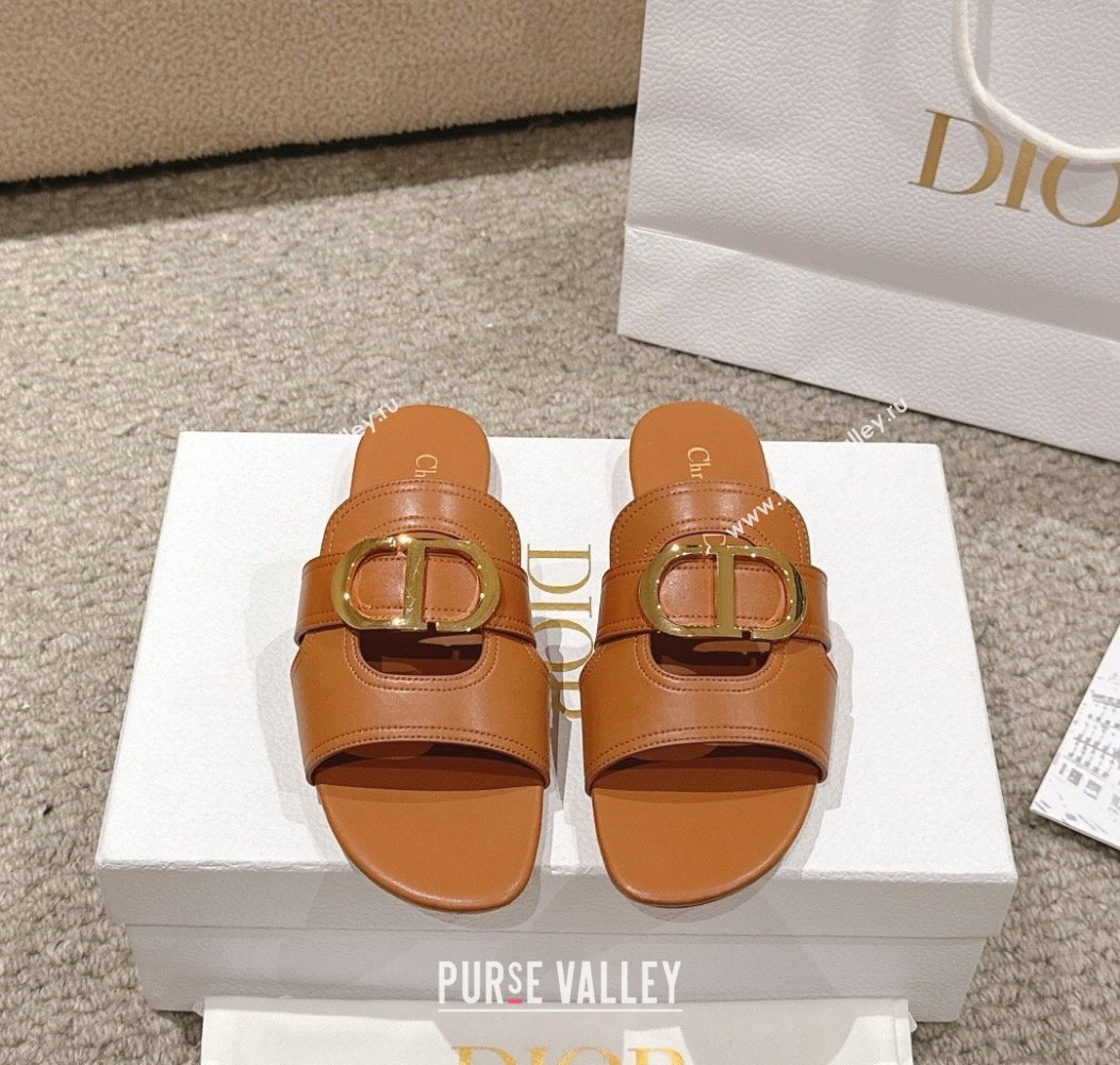 Dior 30 Montaigne Flat Slides Sandal in Calfskin Brown 2024 1231 (MD-241231111)