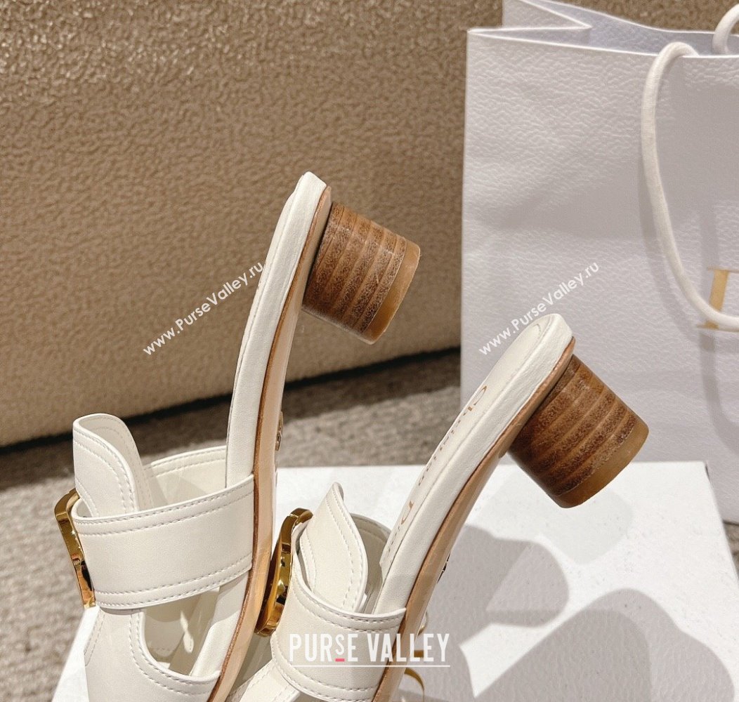 Dior 30 Montaigne Heeled Slides Sandal 3.5cm in Calfskin White 2024 1231 (MD-241231112)