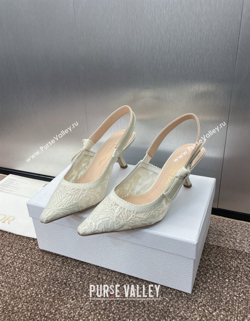 Dior JAdior Slingback Pumps 6.5cm in Transparent Mesh Embroidered with White Dior Cabinet de la Mer Motif 2024 (JC-241231044)