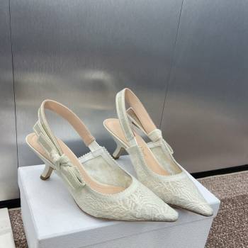 Dior JAdior Slingback Pumps 6.5cm in Transparent Mesh Embroidered with White Dior Cabinet de la Mer Motif 2024 (JC-241231044)