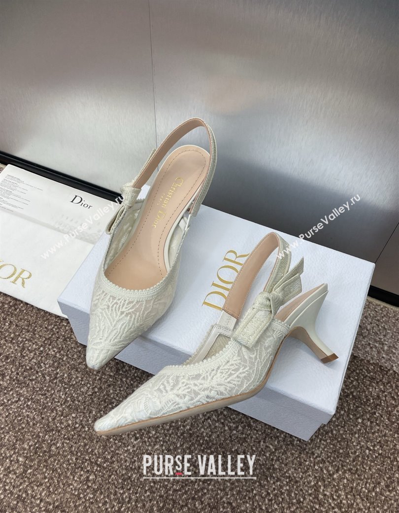 Dior JAdior Slingback Pumps 6.5cm in Transparent Mesh Embroidered with White Dior Cabinet de la Mer Motif 2024 (JC-241231044)