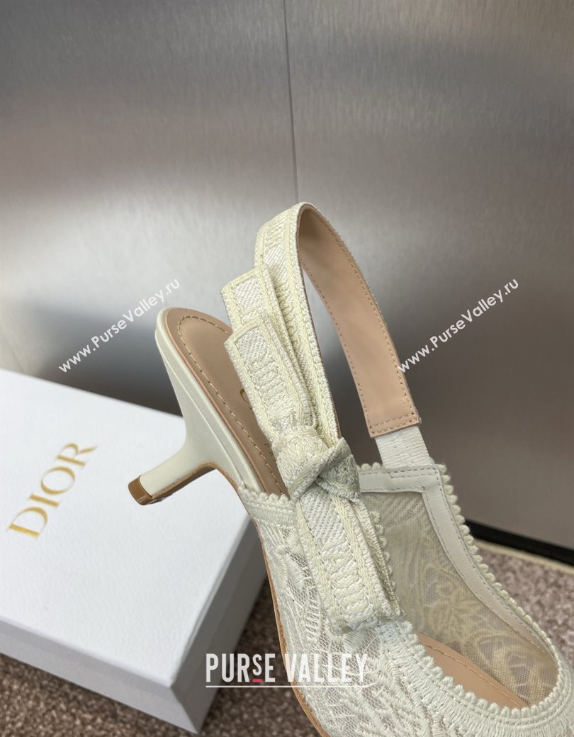 Dior JAdior Slingback Pumps 6.5cm in Transparent Mesh Embroidered with White Dior Cabinet de la Mer Motif 2024 (JC-241231044)