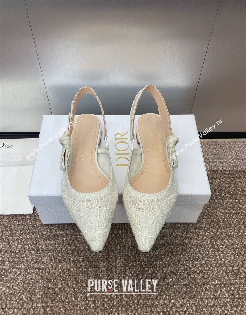 Dior JAdior Slingback Ballet Flat in Transparent Mesh Embroidered with White Dior Cabinet de la Mer Motif 2024 (JC-241231045)