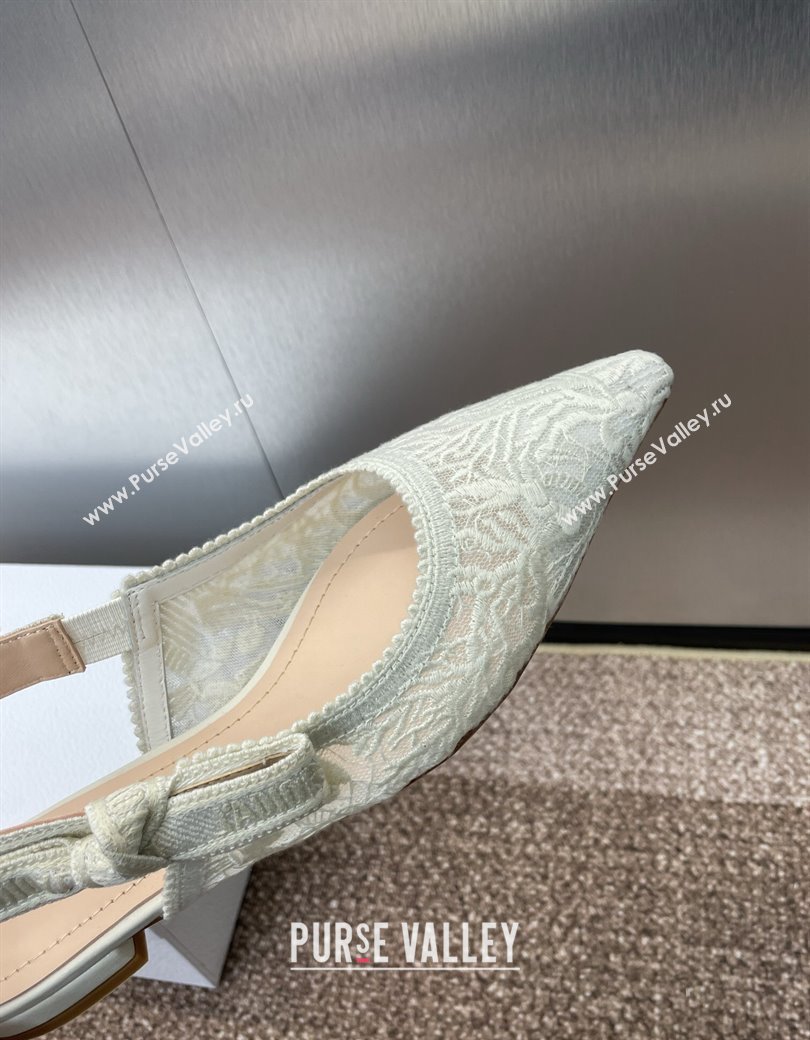 Dior JAdior Slingback Ballet Flat in Transparent Mesh Embroidered with White Dior Cabinet de la Mer Motif 2024 (JC-241231045)