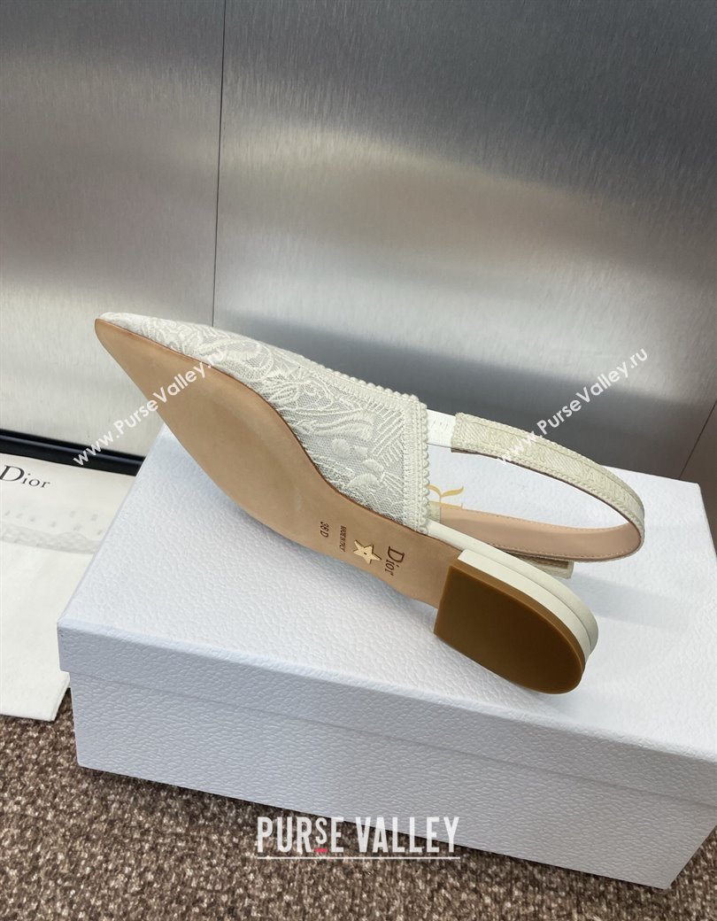 Dior JAdior Slingback Ballet Flat in Transparent Mesh Embroidered with White Dior Cabinet de la Mer Motif 2024 (JC-241231045)