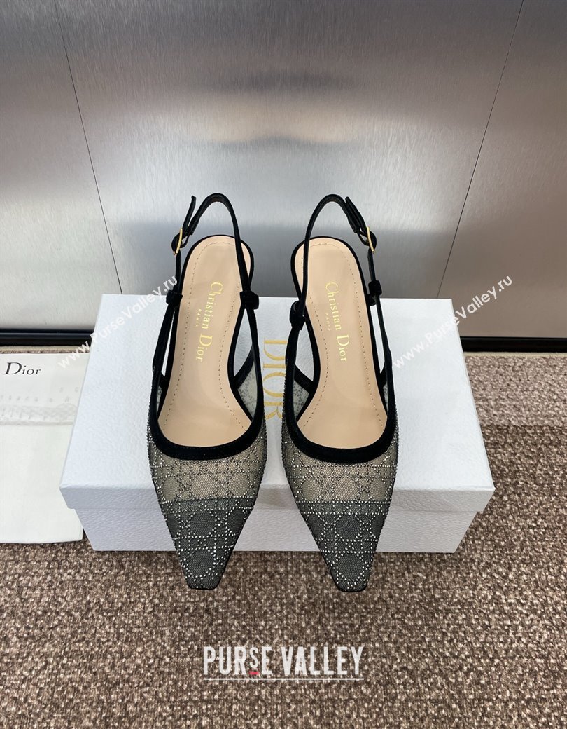 Dior Capture Slingback Pumps 6.5cm in Transparent Mesh with Silver-Tone Strass Cannage Motif and Black Suede 2024 (JC-241231050)