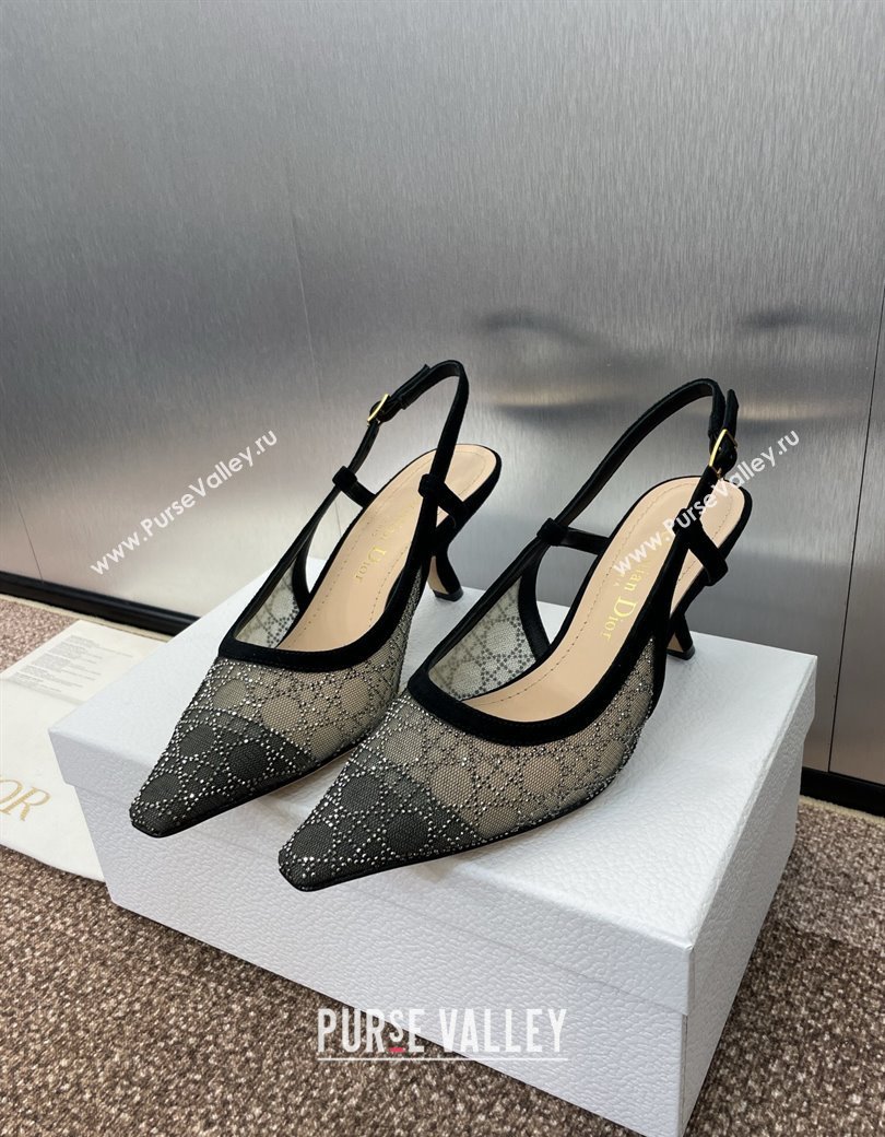 Dior Capture Slingback Pumps 6.5cm in Transparent Mesh with Silver-Tone Strass Cannage Motif and Black Suede 2024 (JC-241231050)