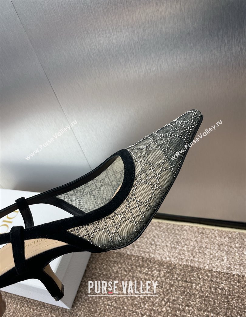 Dior Capture Slingback Pumps 6.5cm in Transparent Mesh with Silver-Tone Strass Cannage Motif and Black Suede 2024 (JC-241231050)